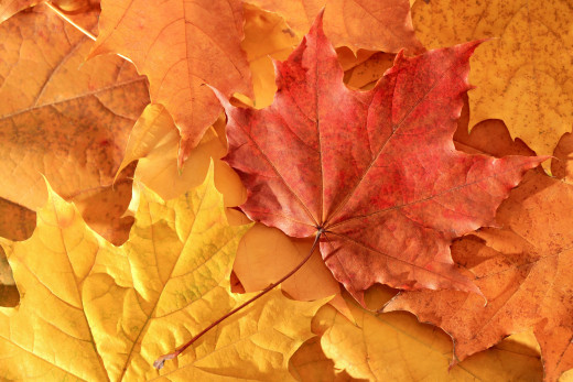 883239 (a): :3000x2000